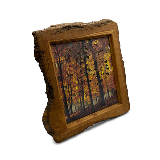 Grabado Tridimensional "Dentro del Bosque 1" - Imagen 7