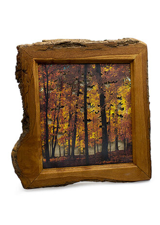 Obra_9_web (7)