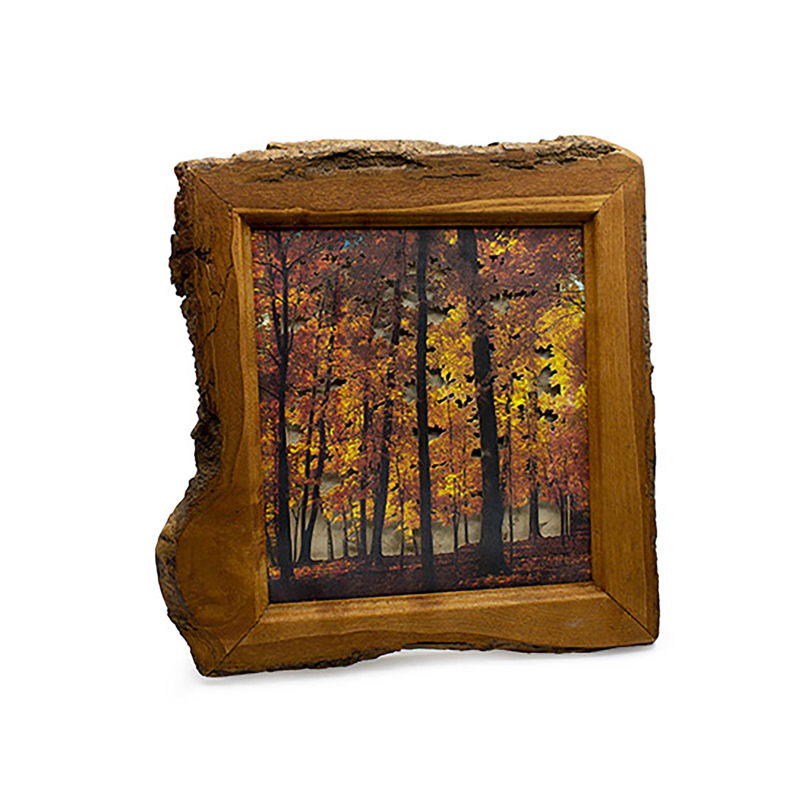 Grabado Tridimensional "Dentro del Bosque 1"