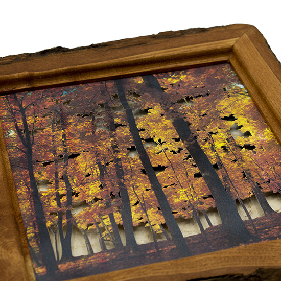 Grabado Tridimensional "Dentro del Bosque 1" - Imagen 8