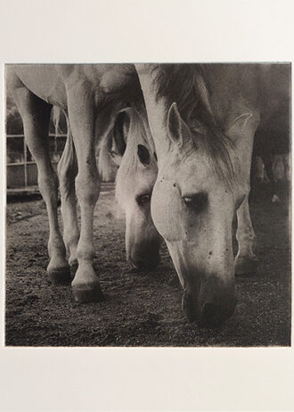 WEB_ (3)