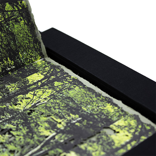 Primavera - Imagen 12