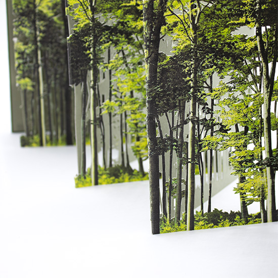 Primavera - Imagen 13