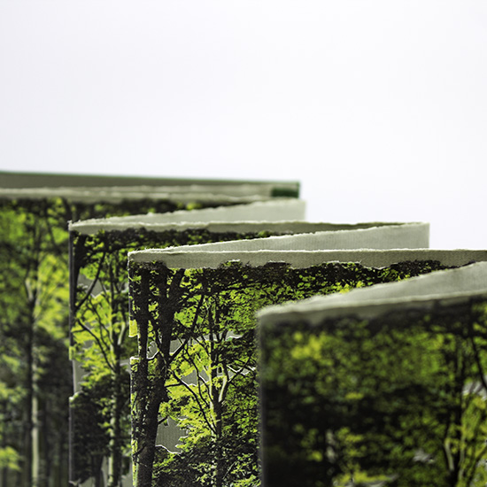 Primavera - Imagen 14