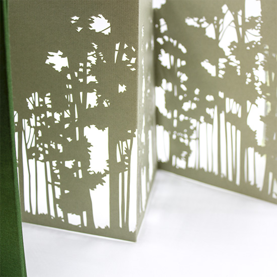 Primavera - Imagen 15