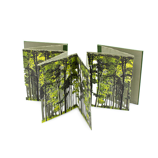 Primavera - Imagen 16