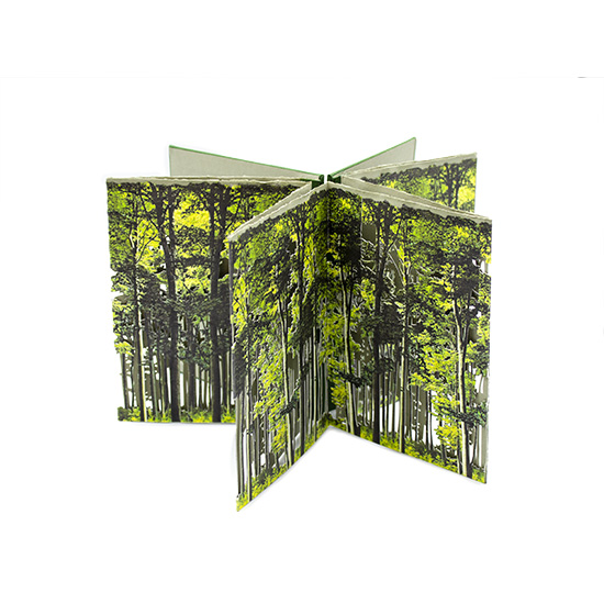 Primavera - Imagen 17