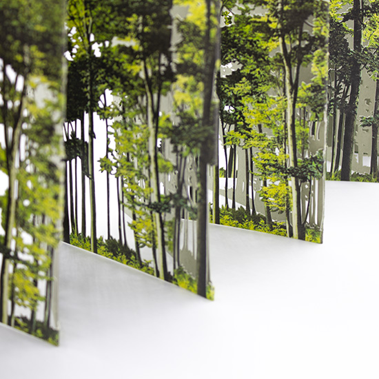 Primavera - Imagen 18