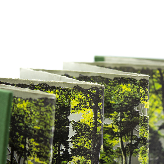 Primavera - Imagen 19