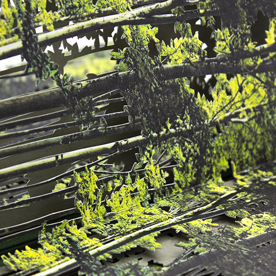 Primavera - Imagen 20