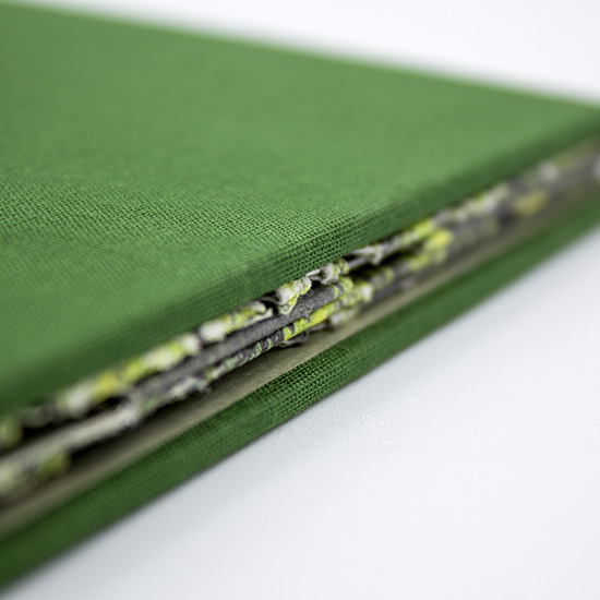 Primavera - Imagen 8