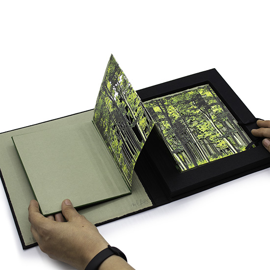 Primavera - Imagen 5