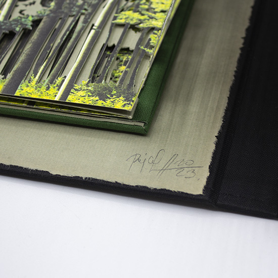 Primavera - Imagen 6