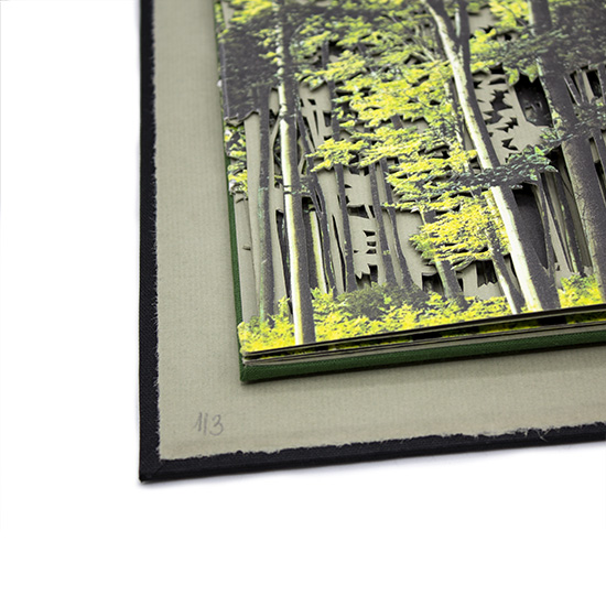 Primavera - Imagen 7