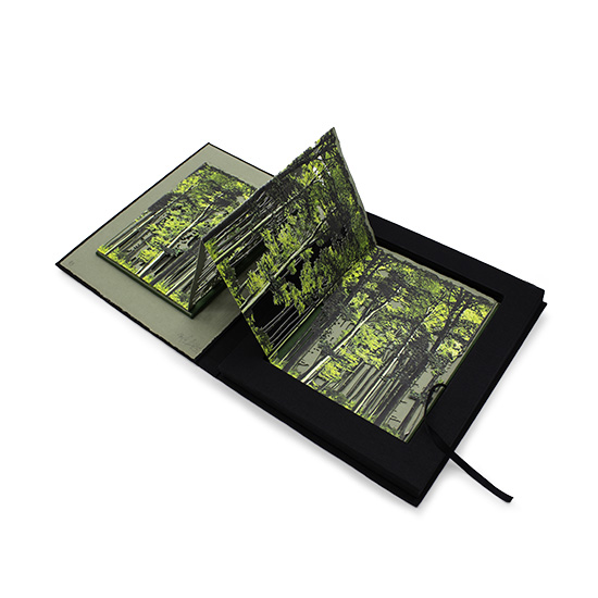 Primavera - Imagen 9