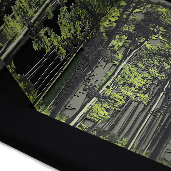 Primavera - Imagen 10