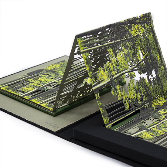 Primavera - Imagen 11