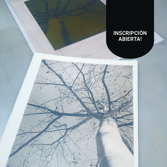 Curso de Grabado con plancha de Fotopolímero - Imagen 23