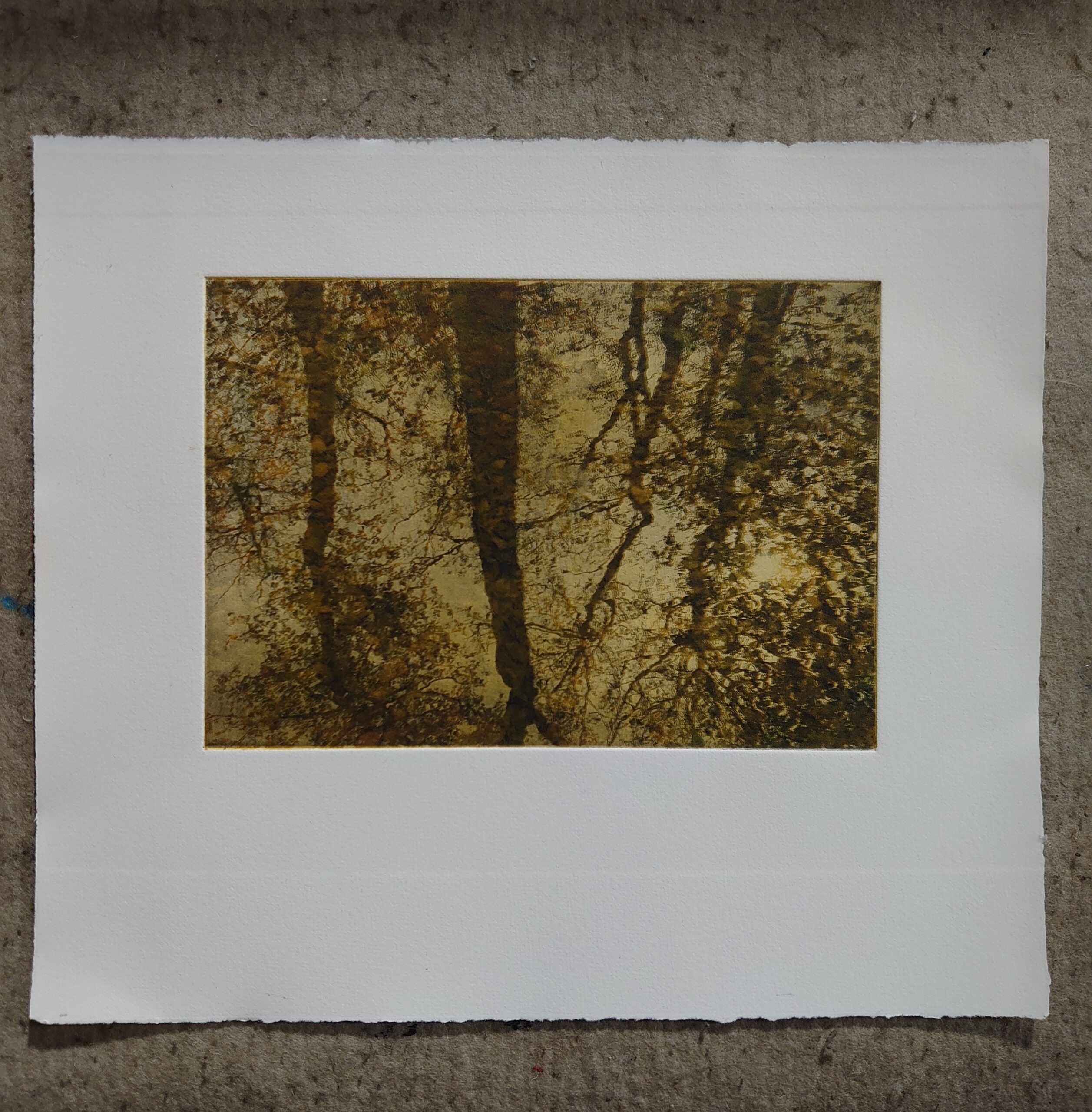 Curso de Fotograbado a todo color - Imagen 29