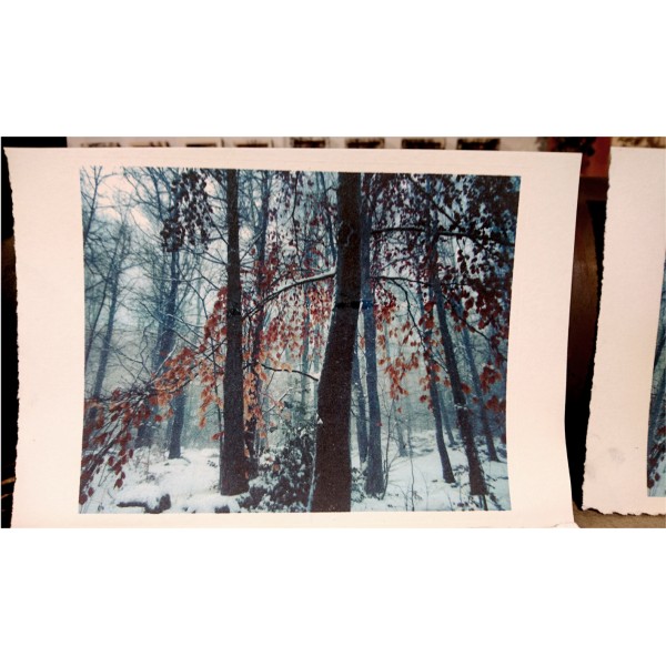 Grabado Tridimensional "Dentro del Bosque 7" - Imagen 2