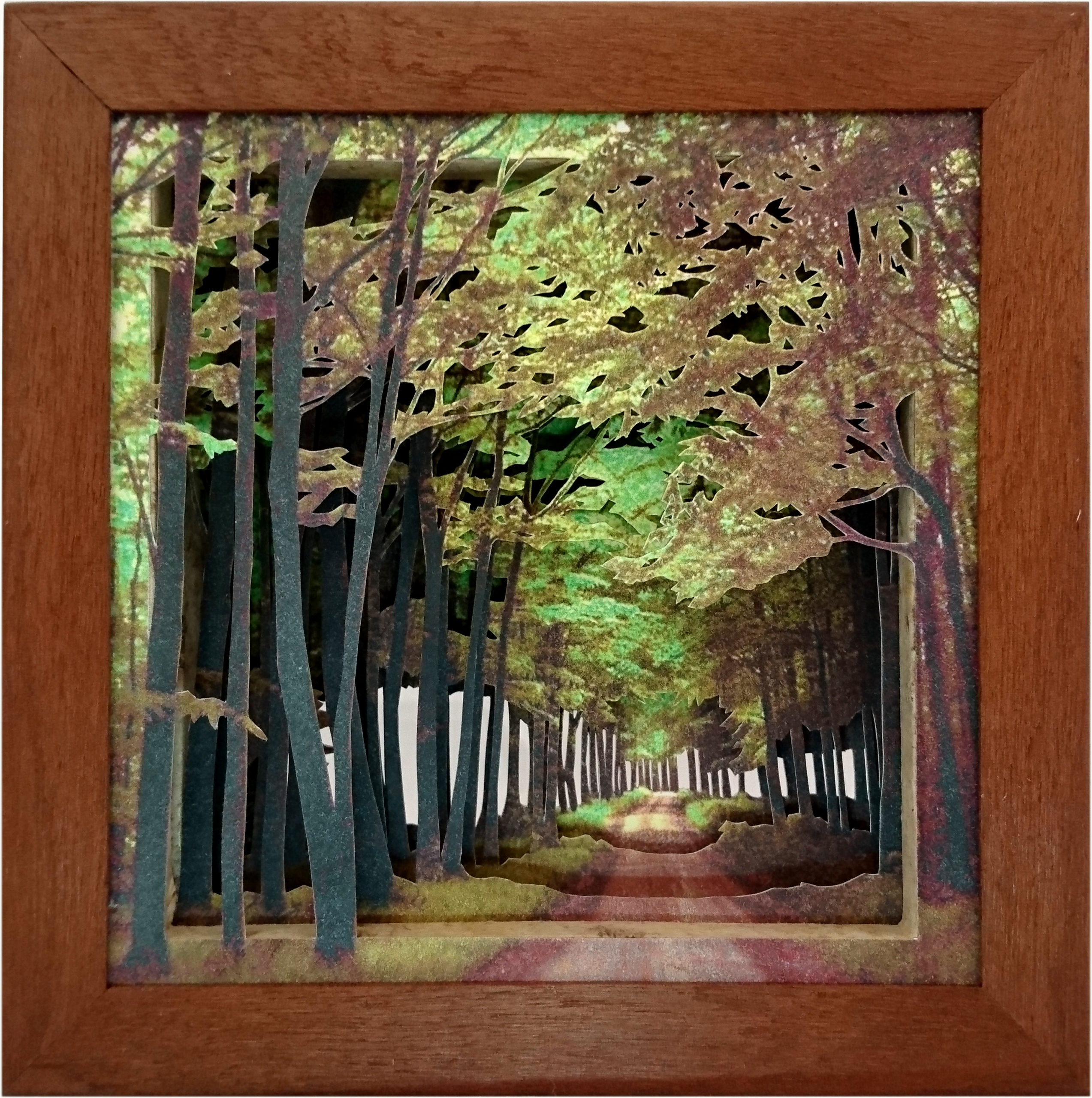 Grabado Tridimensional "Dentro del Bosque 10"