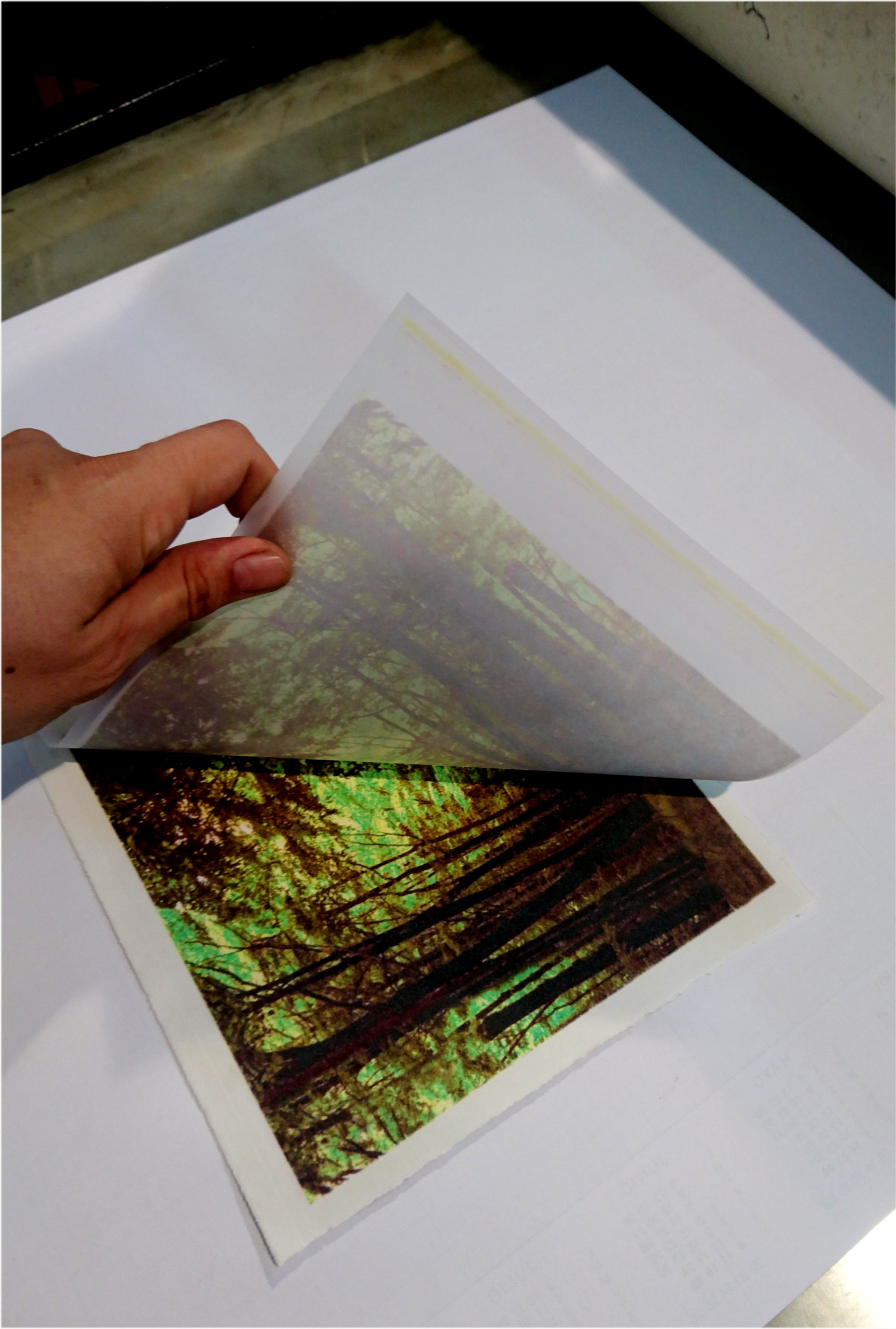 Grabado Tridimensional "Dentro del Bosque 10" - Imagen 6