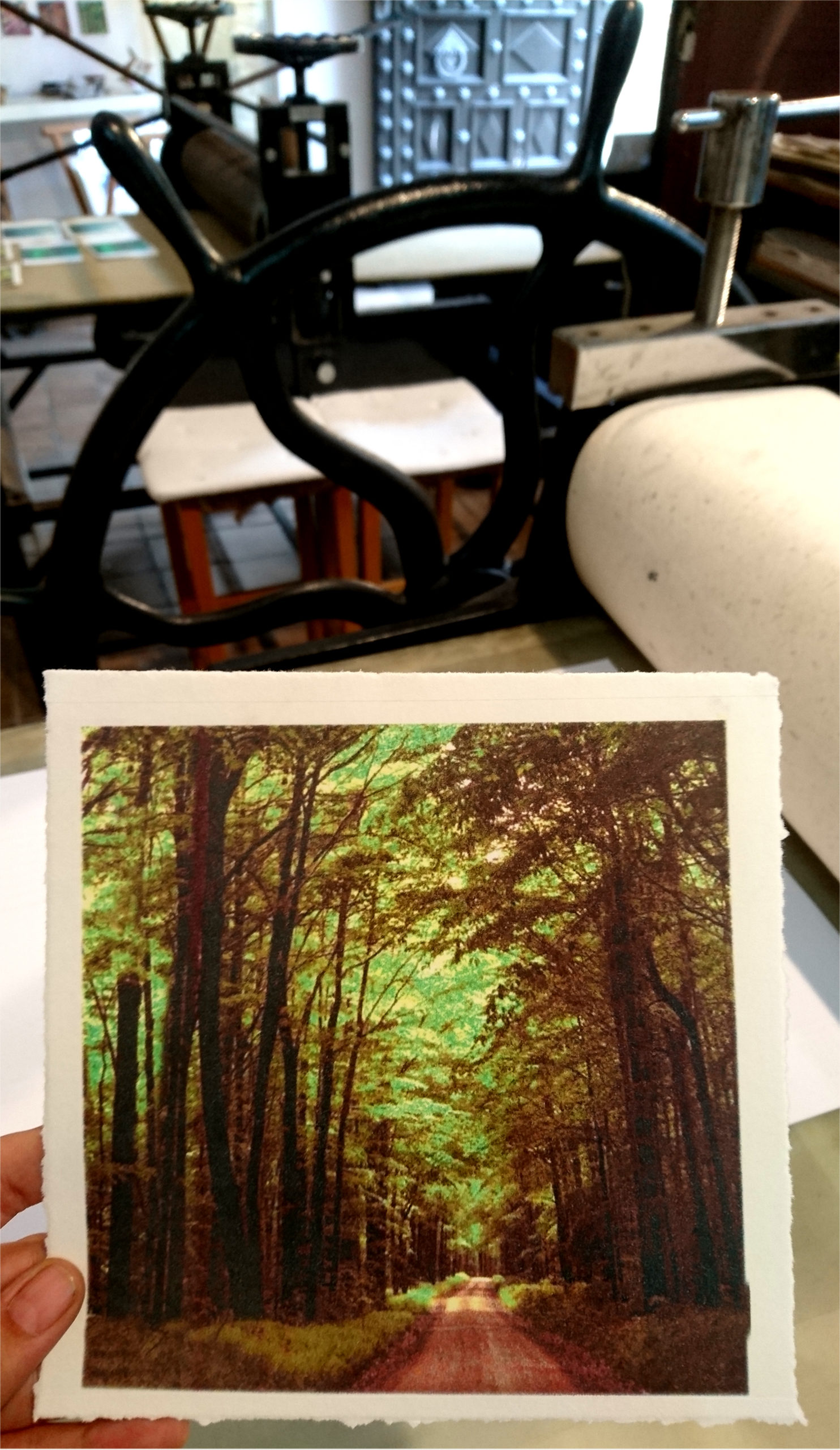 Grabado Tridimensional "Dentro del Bosque 10" - Imagen 5