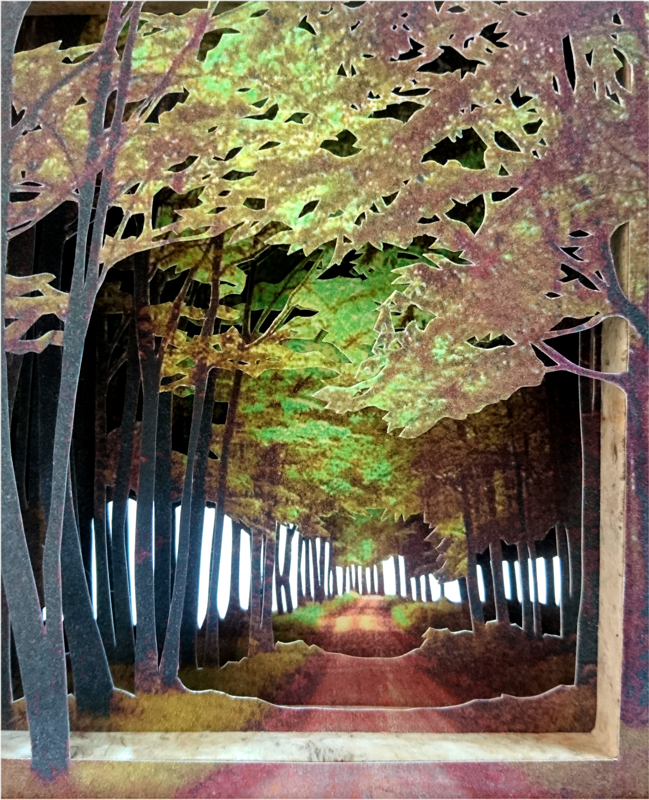 Grabado Tridimensional "Dentro del Bosque 10" - Imagen 2