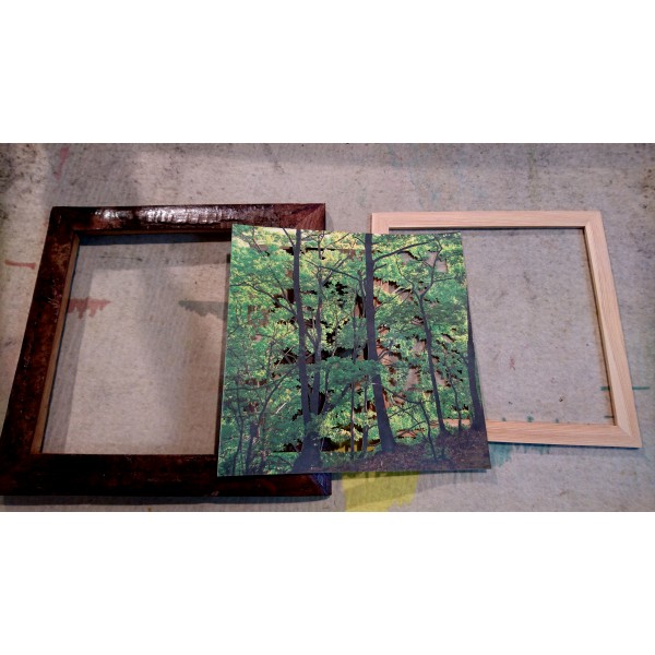 Grabado Tridimensional "Dentro del Bosque 6" - Imagen 6