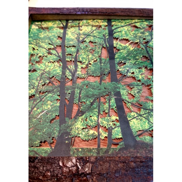 Grabado Tridimensional "Dentro del Bosque 6" - Imagen 2