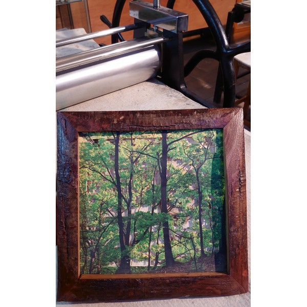 Grabado Tridimensional "Dentro del Bosque 6" - Imagen 5