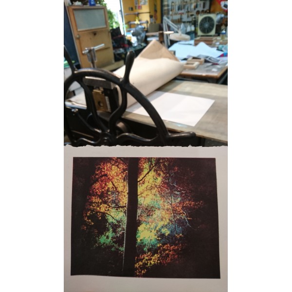 Grabado Tridimensional "Dentro del Bosque 8" - Imagen 4