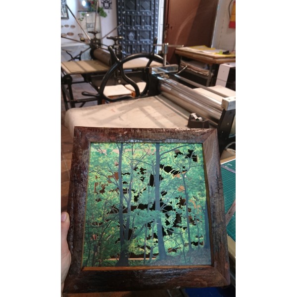 Grabado Tridimensional "Dentro del Bosque 6" - Imagen 4