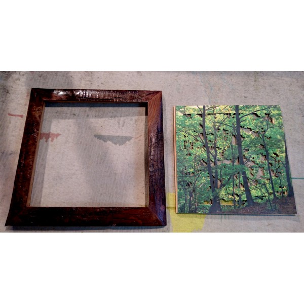 Grabado Tridimensional "Dentro del Bosque 6" - Imagen 7