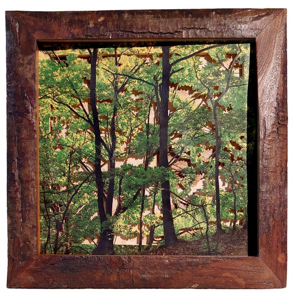 Grabado Tridimensional "Dentro del Bosque 6"