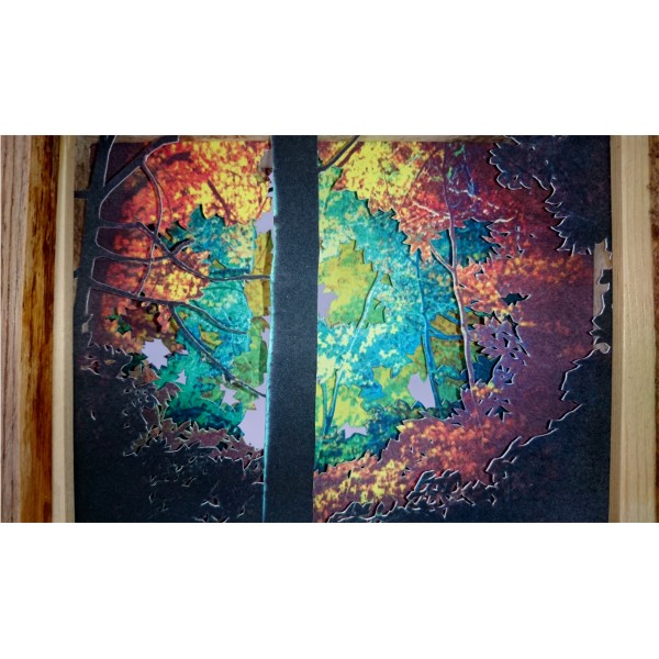 Grabado Tridimensional "Dentro del Bosque 8" - Imagen 8