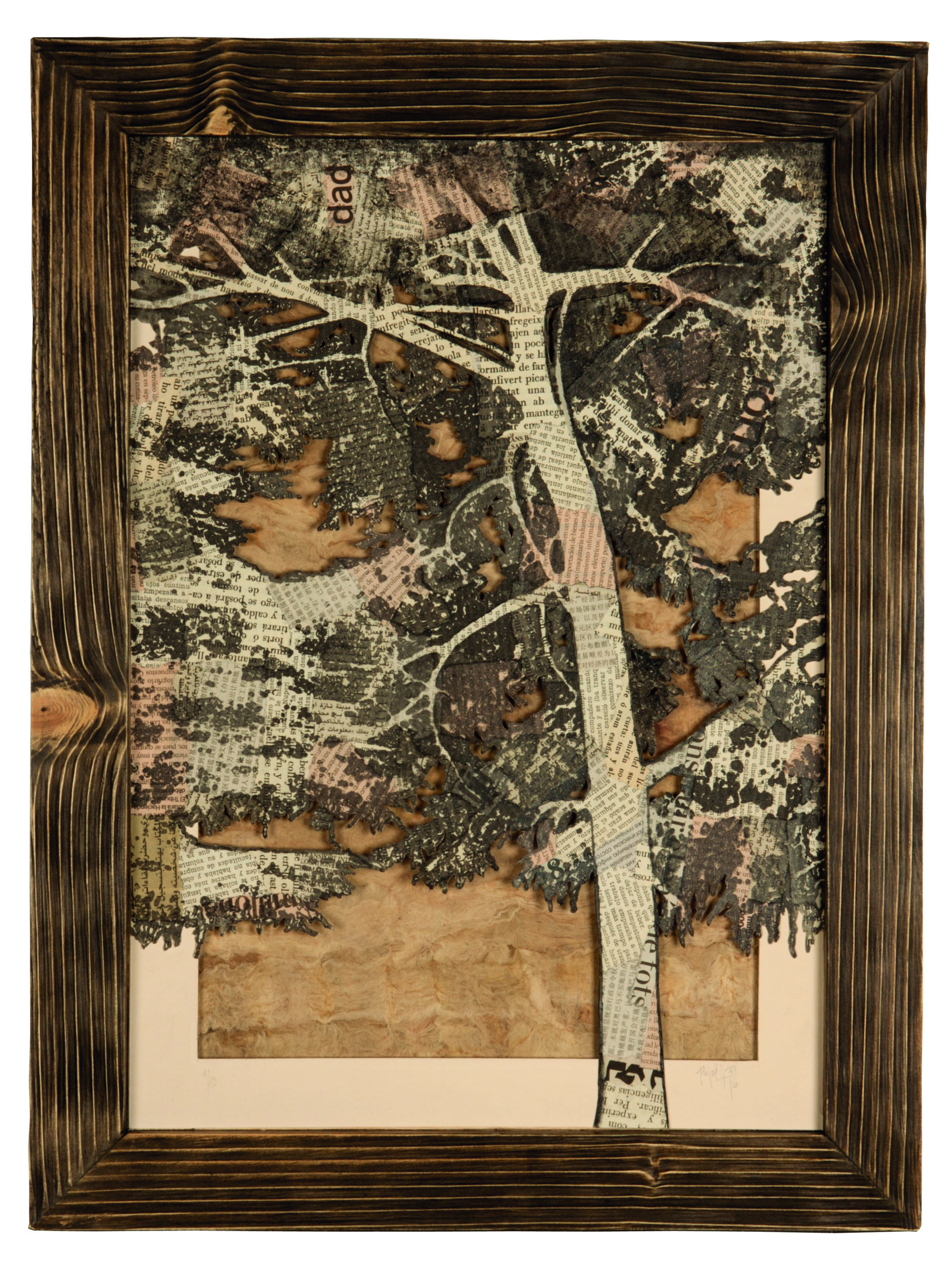 Recovery Urban Woods "Creación 24"