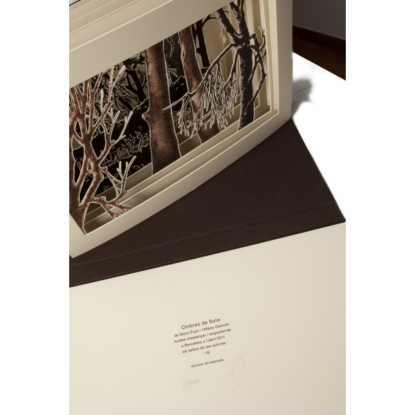 Sombras de Luna - Imagen 12