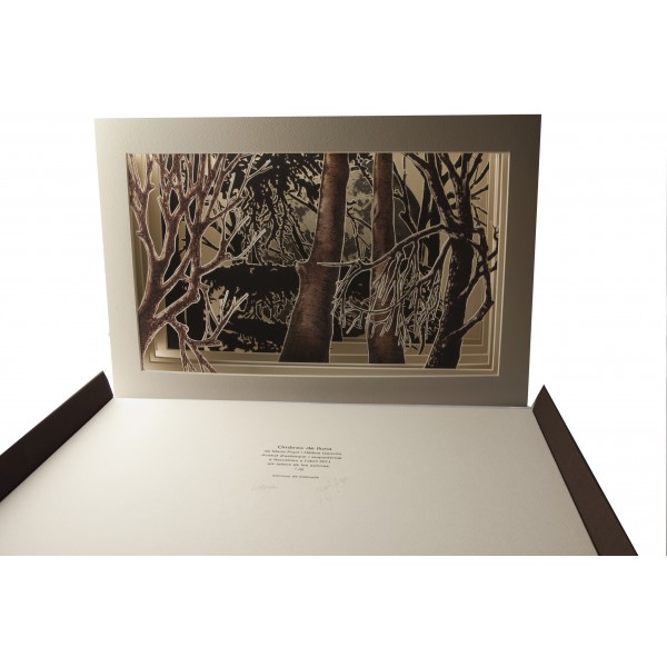 Sombras de Luna - Imagen 14