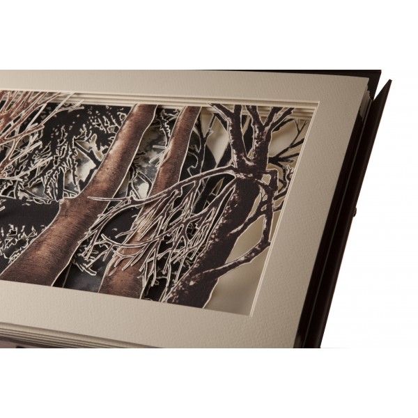 Sombras de Luna - Imagen 18