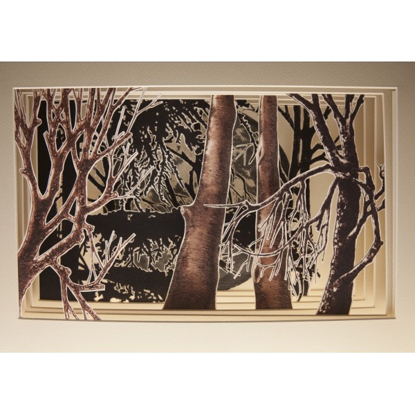 Sombras de Luna - Imagen 19