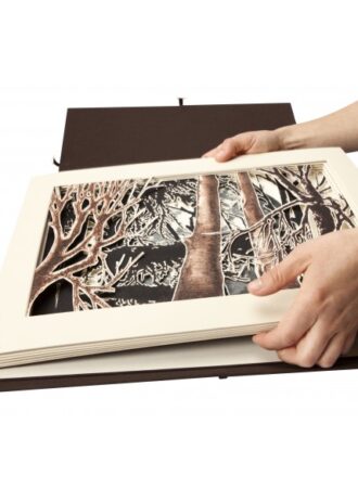 ombres-de-lluna-libro-de-artista
