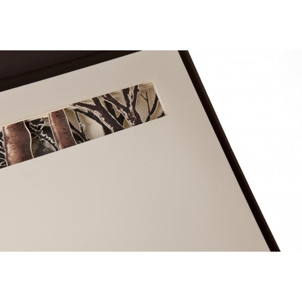 Sombras de Luna - Imagen 6