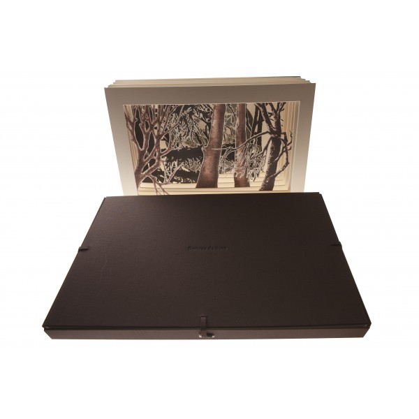 Sombras de Luna - Imagen 7