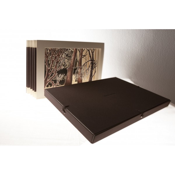 Sombras de Luna - Imagen 8