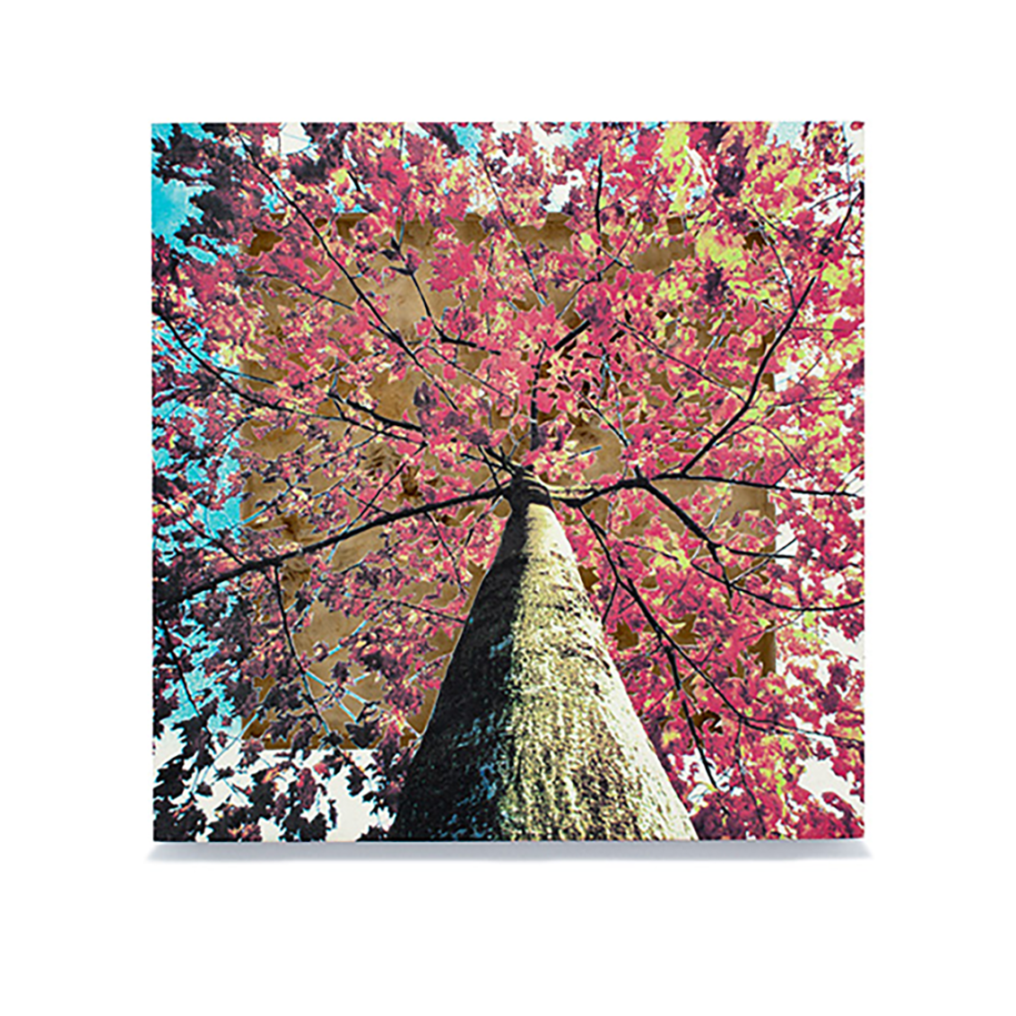 Grabado Tridimensional "Creación 18"