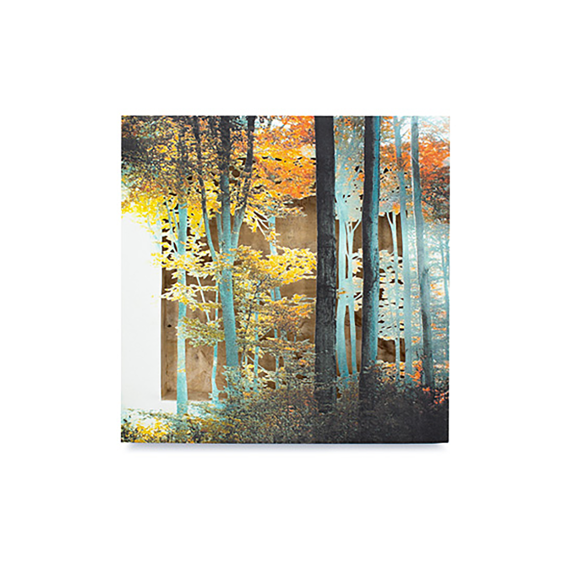 Grabado Tridimensional "Creación 16"