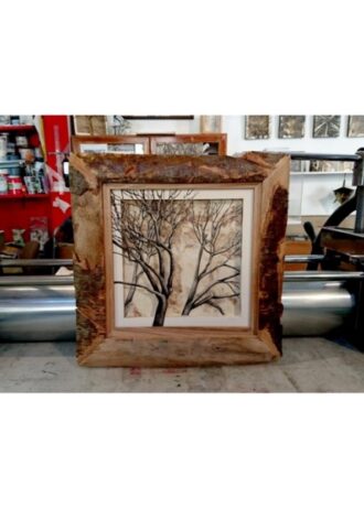 recovery-urban-woods-n10 (1)