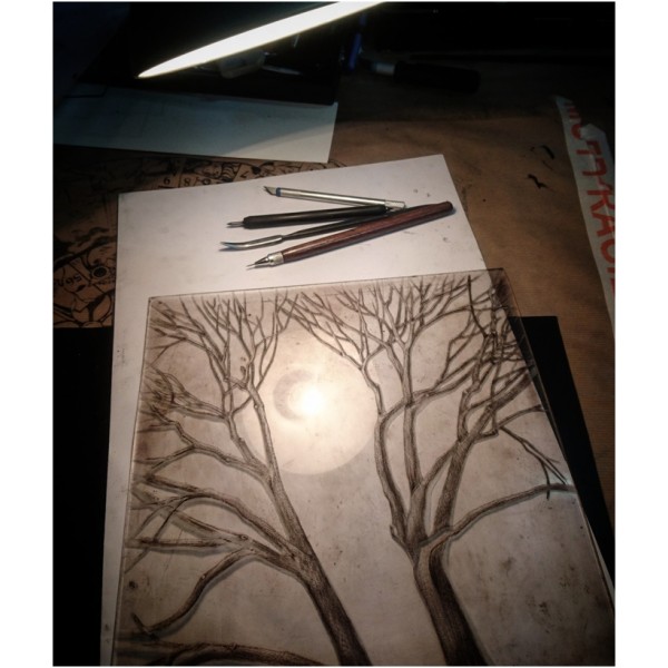 Recovery Urban Woods "Creación 22" - Imagen 3