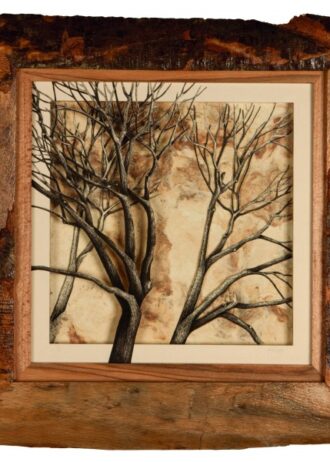 recovery-urban-woods-n10